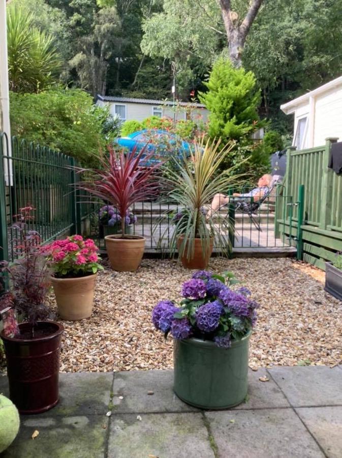 173A Woodland Way Hotell Porthmadog Eksteriør bilde