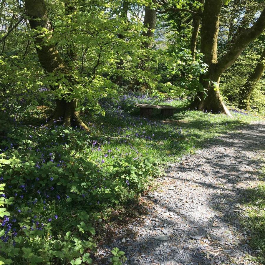 173A Woodland Way Hotell Porthmadog Eksteriør bilde